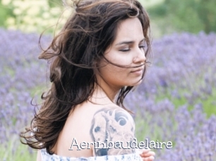 Aerinbaudelaire