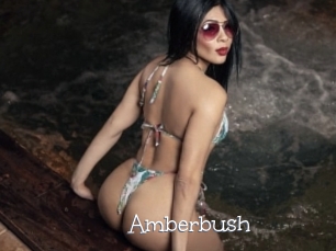 Amberbush