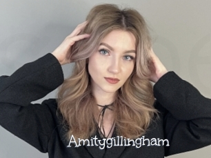 Amitygillingham