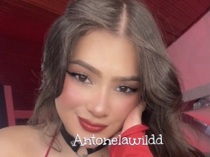 Antonelawildd