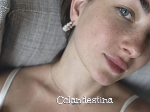Cclandestina