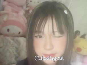 Cuteshycat