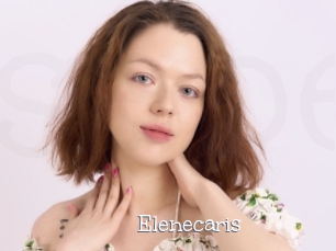 Elenecaris