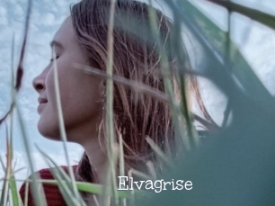 Elvagrise