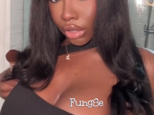 Fung8e