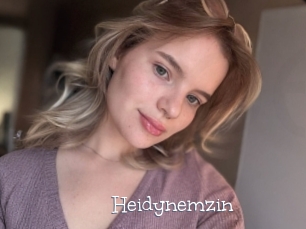 Heidynemzin