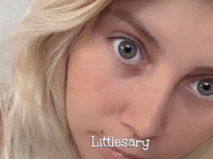 Littlesary