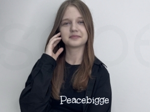 Peacebigge
