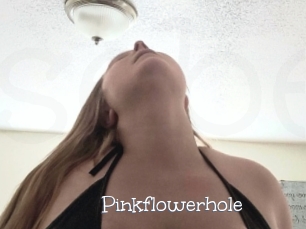 Pinkflowerhole